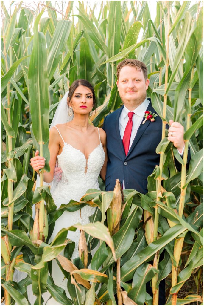 Bride and Groom in the corn at the ruby cora. 