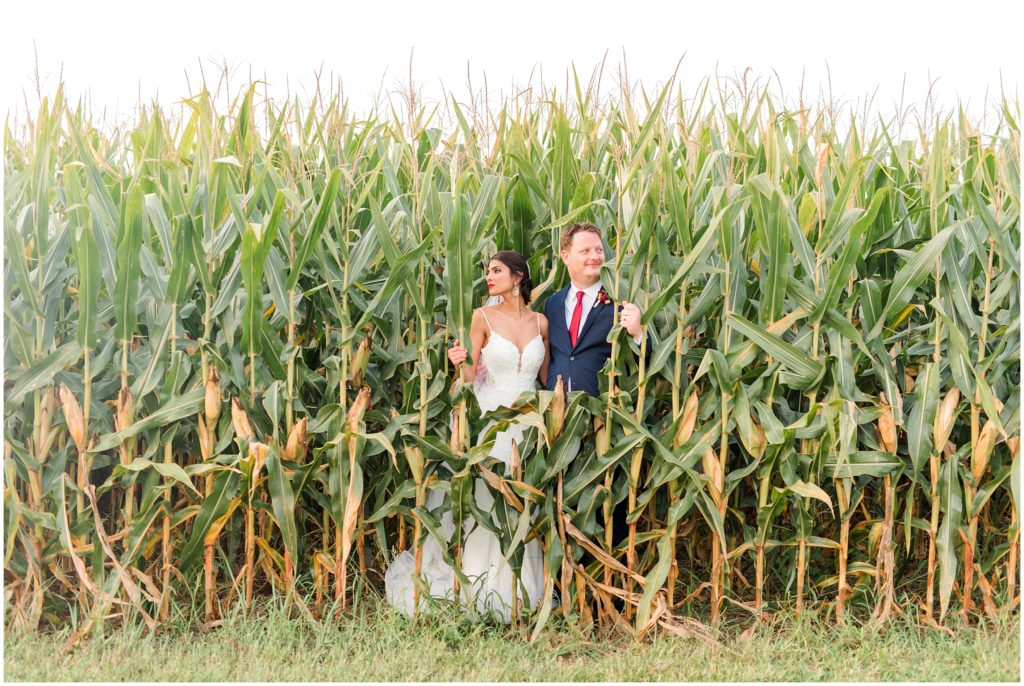 Bride and Groom sunset portraits the ruby cora clarksville tn in the corn